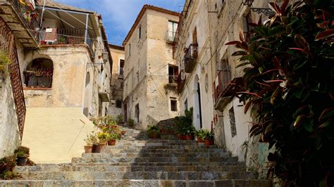 SCALEA